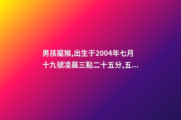 男孩屬猴,出生于2004年七月十九號凌晨三點二十五分,五行缺什么 2004年屬猴時辰命運，2004年幾點出生更好-第1張-觀點-玄機派